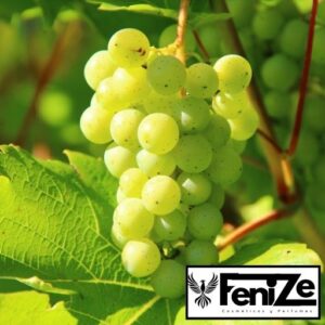 Salerm Biokera Grapeology: Protección del Color y Antioxidantes Naturales 🍇 Salerm Biokera Grapeology: Champú profesional con extracto de uva y aceite de pepita de uva para proteger el color y dar brillo.